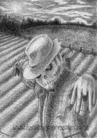 New design - the scarecrow